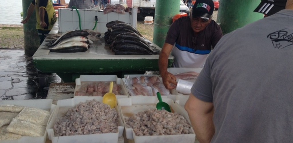 Semana Santa aumenta procura por peixe na Doca do Mercado