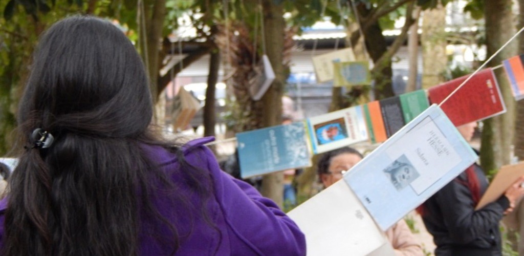 Arvoreteca terá nova tarde de doação de livros