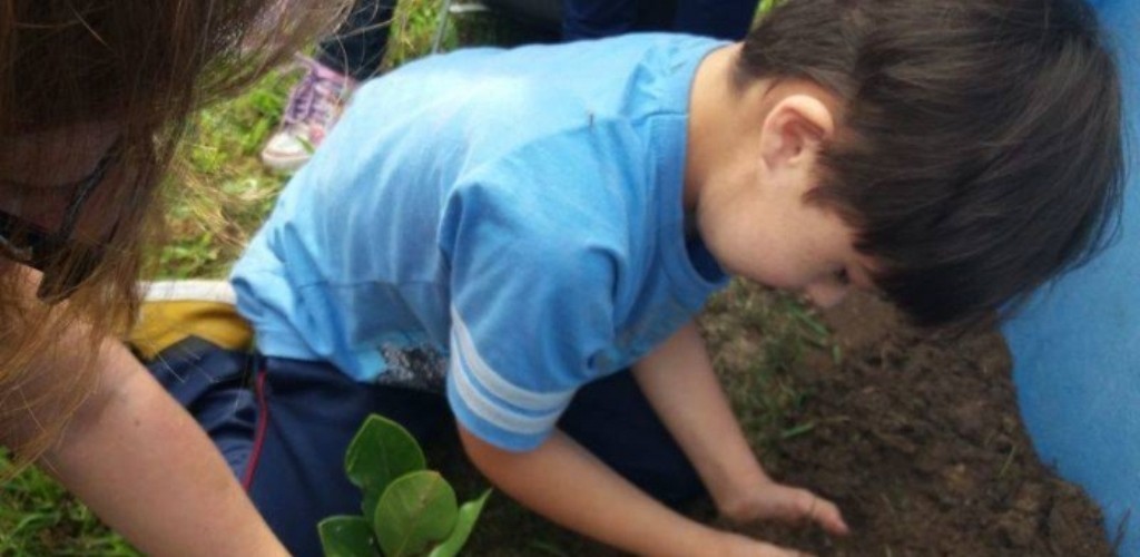 Prefeitura realiza ações de arborização em comemoração ao Dia do Solo