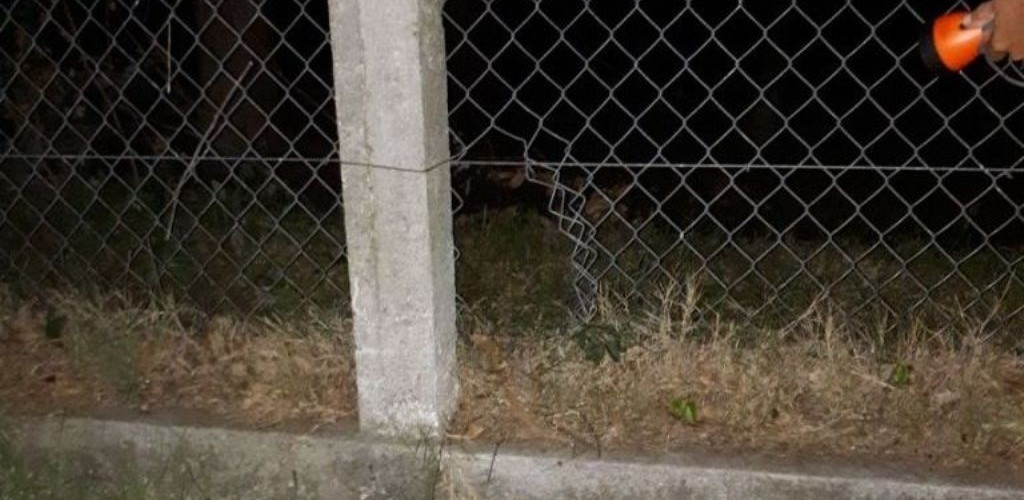 Homem é preso após invadir PERG com drogas