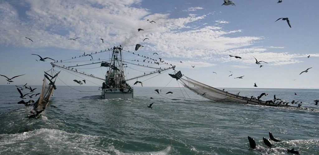 Congapes vota Política Estadual de Pesca Sustentável