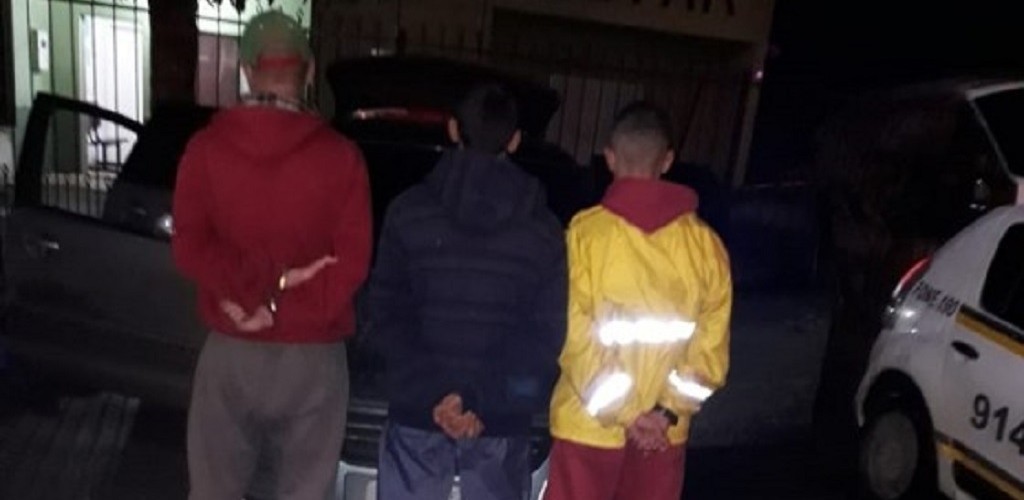Três pessoas são flagradas com capivaras abatidas