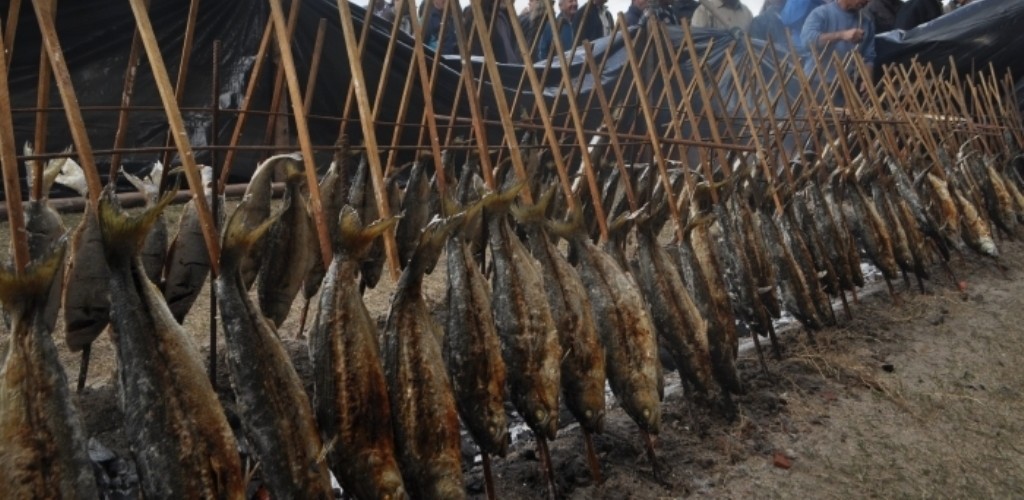 Festa de São Pedro terá tradicional Anchova assada