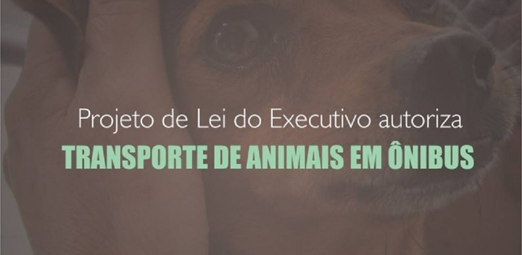 Projeto de Lei do Executivo autoriza transporte de animais de pequeno porte no Transporte Coletivo
