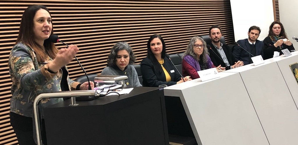 Comunidade lota plenário da Câmara para discutir violência obstétrica