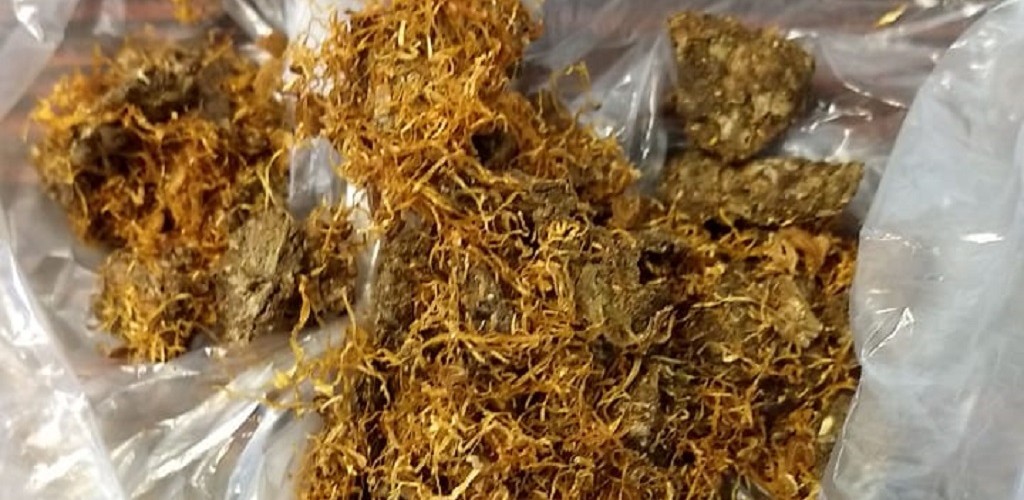 Mulher tenta ingressar na Perg com maconha em embalagem de fumo