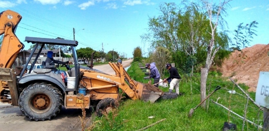Prefeitura Municipal realiza plantios de aroeiras no balneário Cassino