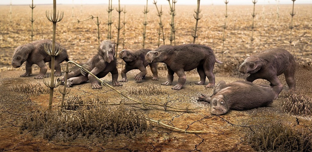 Pesquisadores da Unipampa encontram fósseis de seis filhotes de réptil primitivo no RS