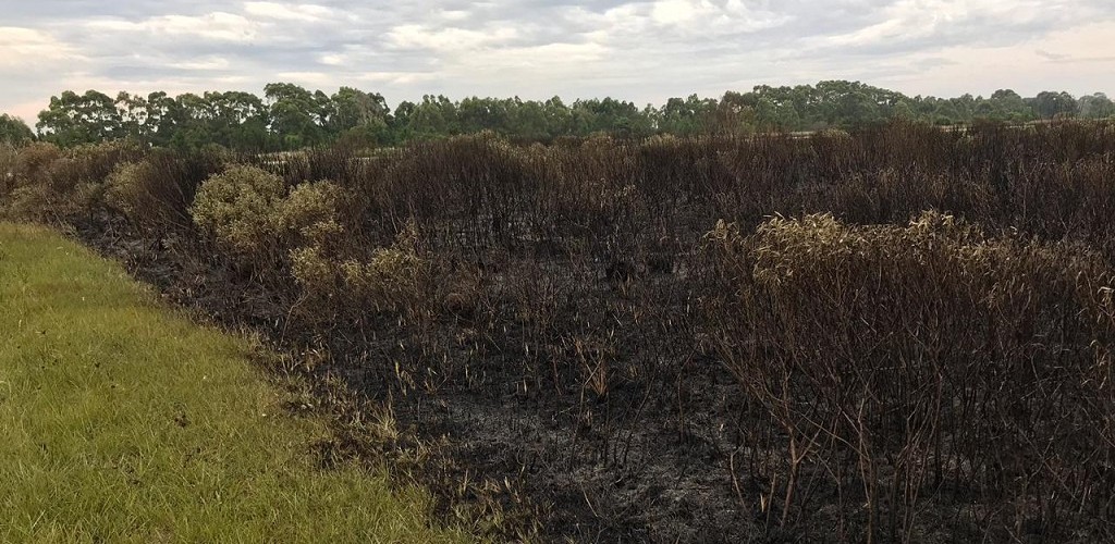 Aeroporto: administração avalia danos após incêndio