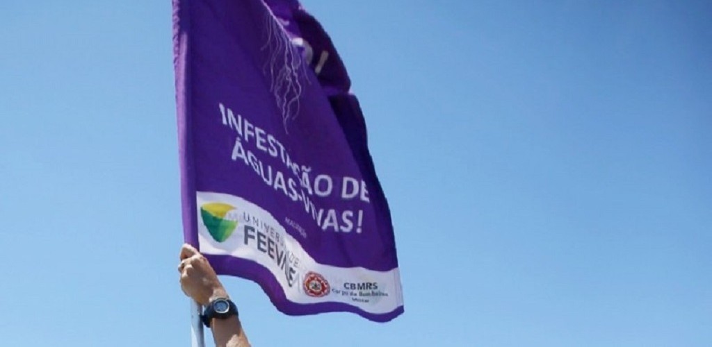 Centro de Informação Toxicológica pede atenção com águas-vivas