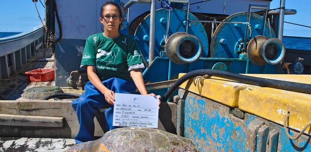 Projeto Pinípedes do Sul coleta dados sobre a interação da pesca com pinípedes em embarque