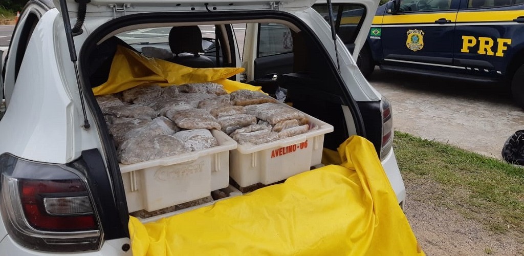 PRF e Vigilância Sanitária apreendem 180 kg de camarão em Pelotas