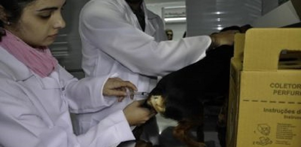 Castramóvel distribuirá fichas para atendimento 