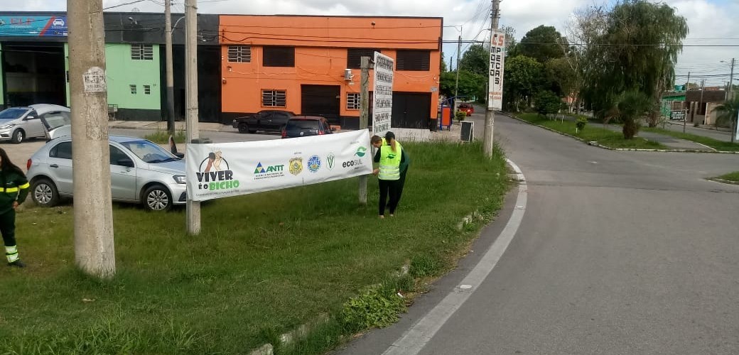 Ecosul realiza ação "Viver é o bicho" na BR-392