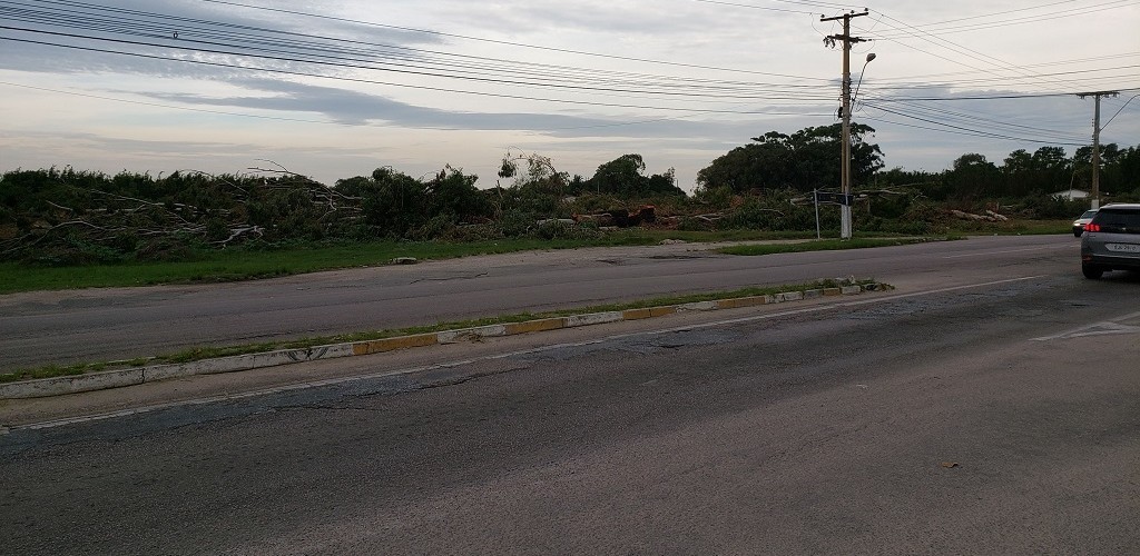 Com estruturas das lojas já compradas, Havan prepara documentações para obtenção de licenças ambientais