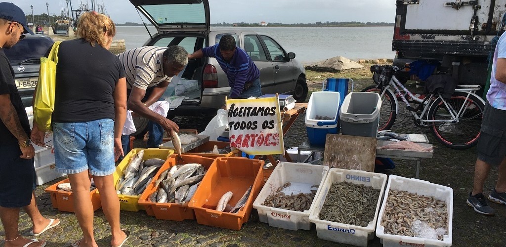 Venda de pescado no mercado público agrada comerciantes
