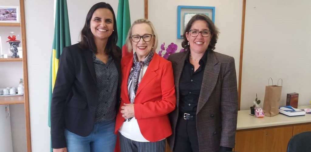 Executivo e Secretaria Estadual da Saúde debatem ações para SJN