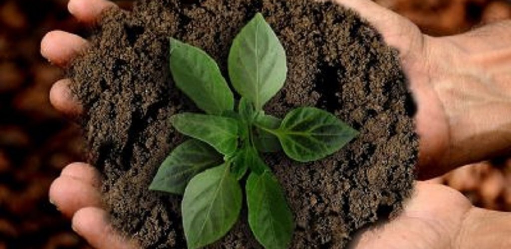 Junho Socioambiental começa nesta segunda-feira 