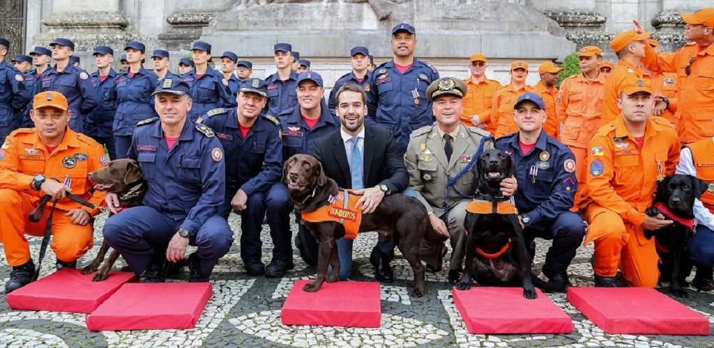 Servidores e cães que atuaram em Brumadinho recebem homenagens