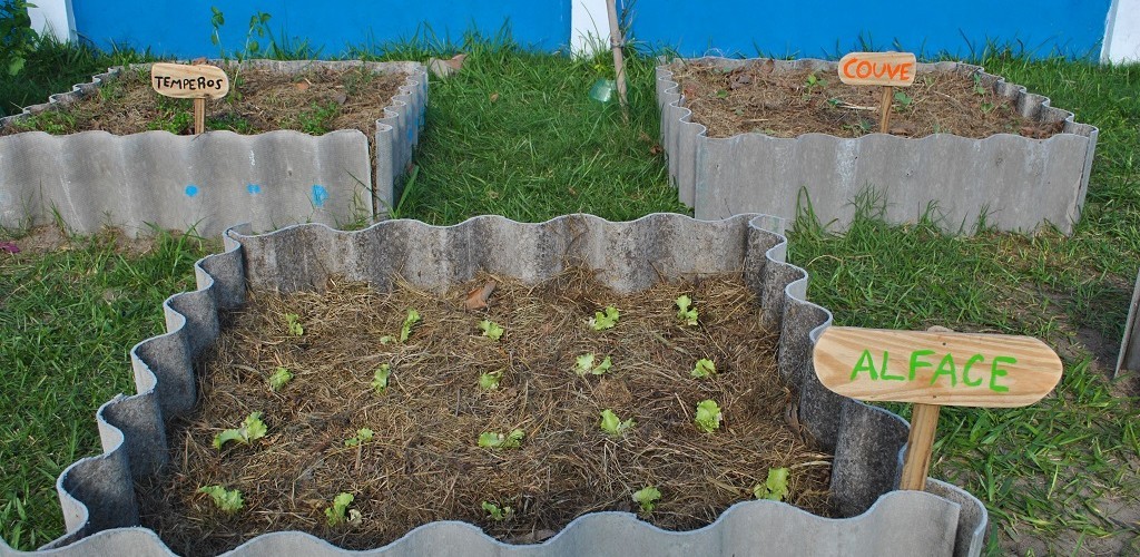Projeto Pinípedes do Sul realiza plantio e compostagem com alunos da Escola Ramiz Galvão