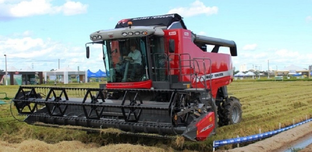 Colheita da safra de arroz está próxima de ser finalizada
