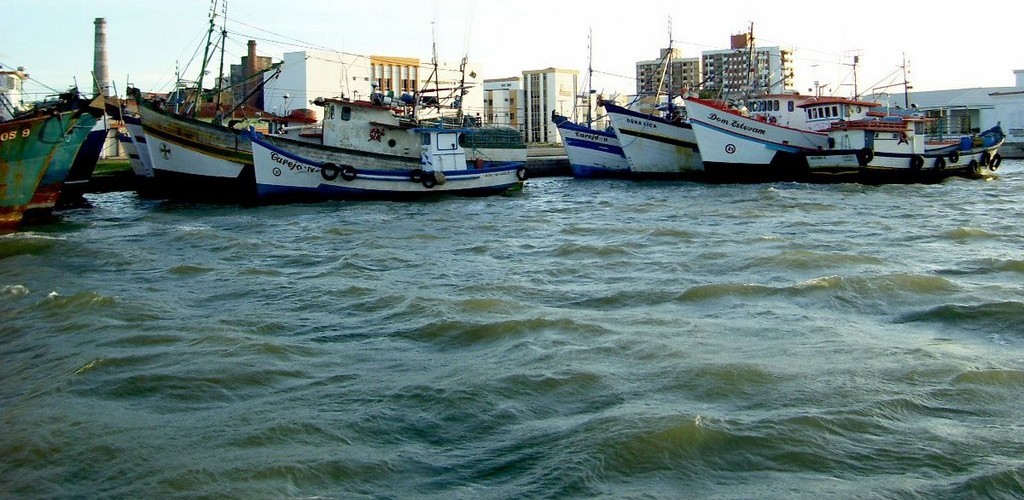 Prefeitura e Nema assinam protocolo para a realização de trabalhos de educação ambiental