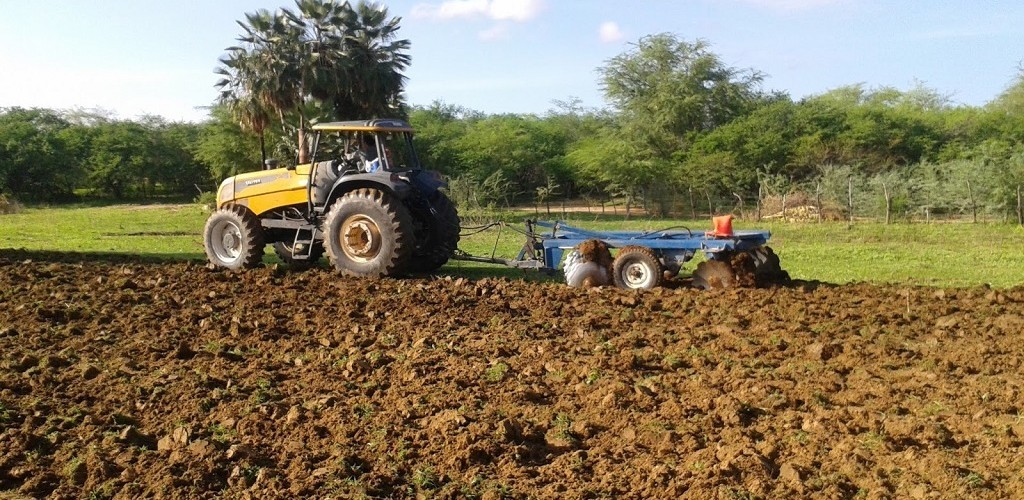 Cultivo de trigo alcança 88% da área prevista para esta safra no Rio Grande do Sul