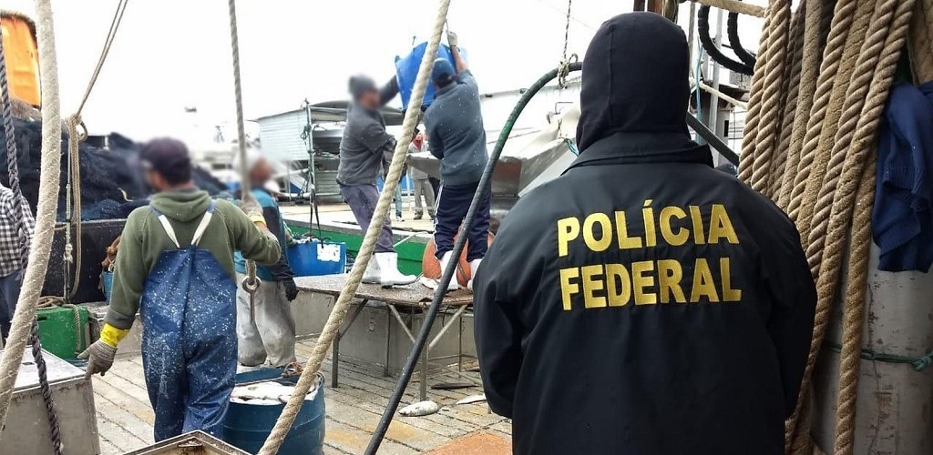 Cerca de 150 toneladas de peixe são apreendidos em RG