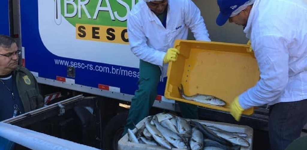 Instituições recebem cerca de 50 toneladas de peixe apreendidas 