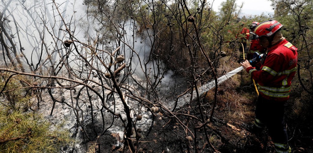 Incêndio florestal atinge Portugal e fere 32 pessoas