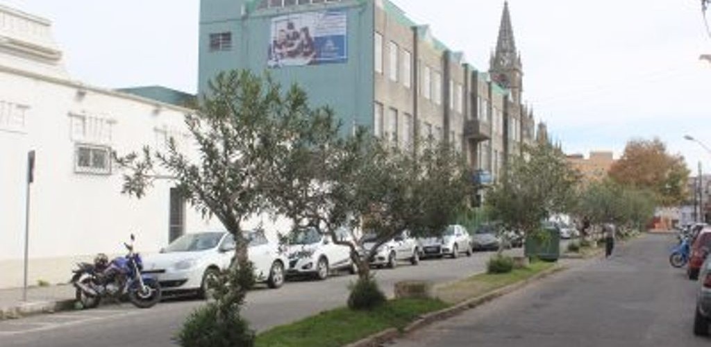 Lançada pesquisa à população sobre canteiros na Dr. Nascimento