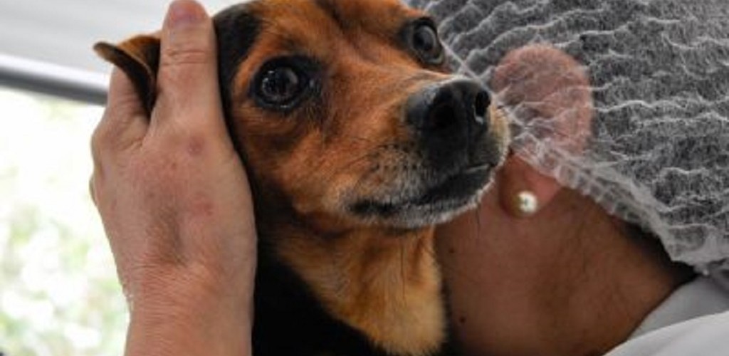 Castramóvel vai atender bairros Mangueira e Barra