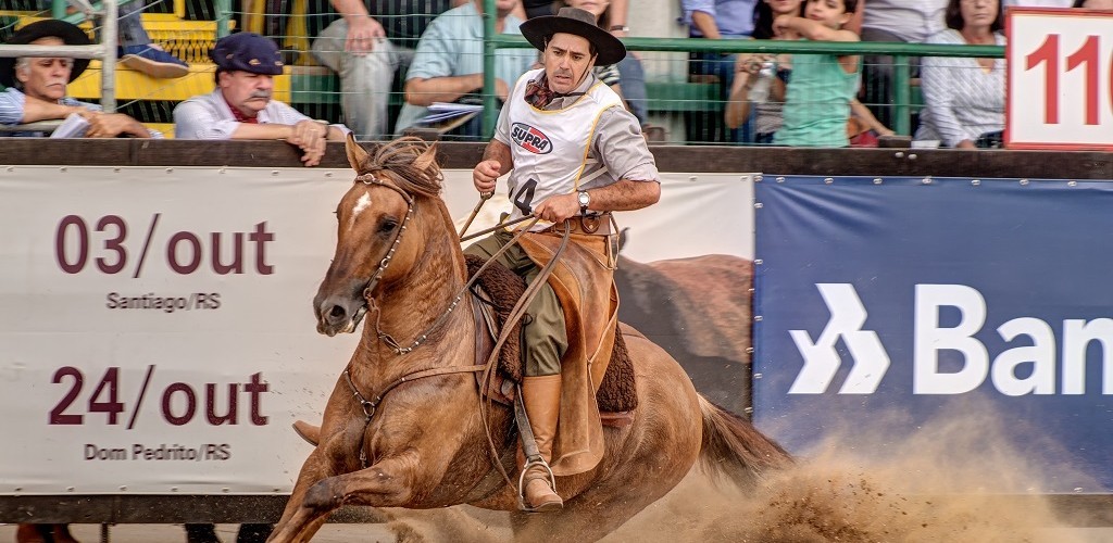 Zeca Macedo conquista freio de prata na Expointer