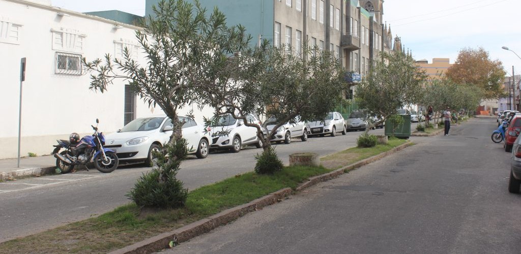 Prefeitura divulga resultado da pesquisa sobre os canteiros da Dr. Nascimento