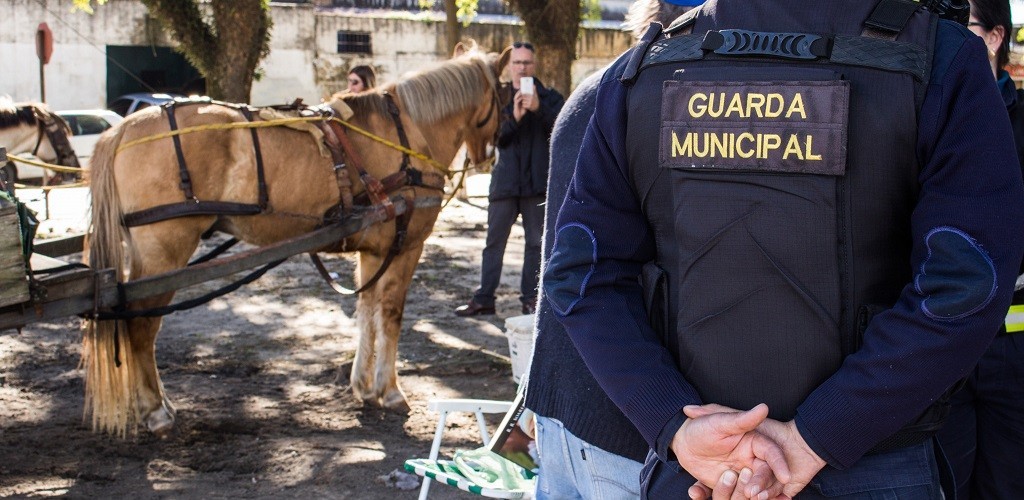 Blitz de combate a maus-tratos conscientiza trabalhadores em Pelotas