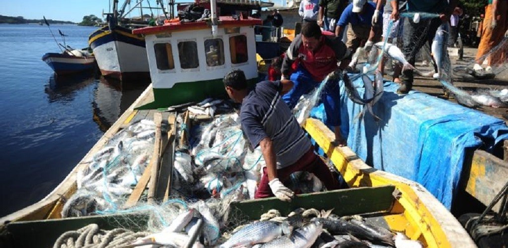 Lei da Pesca Sustentável  é defendida 