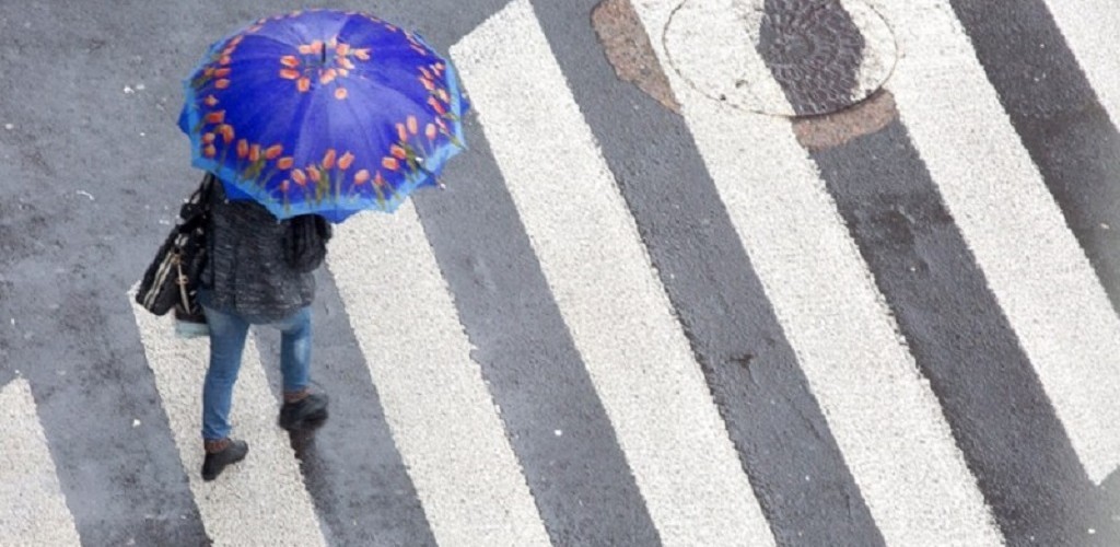 Detran divulga levantamento sobre atropelamentos