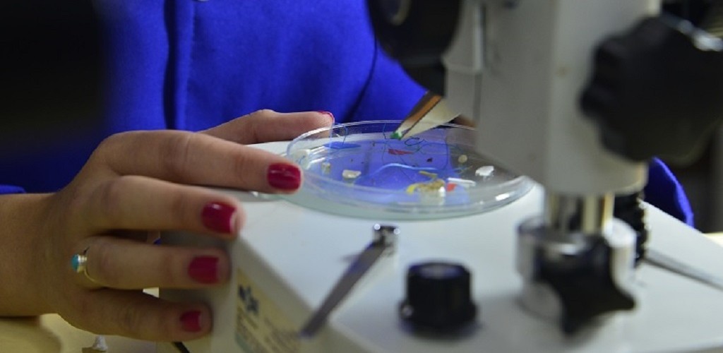 Capes publica relatório sobre pesquisa no Brasil