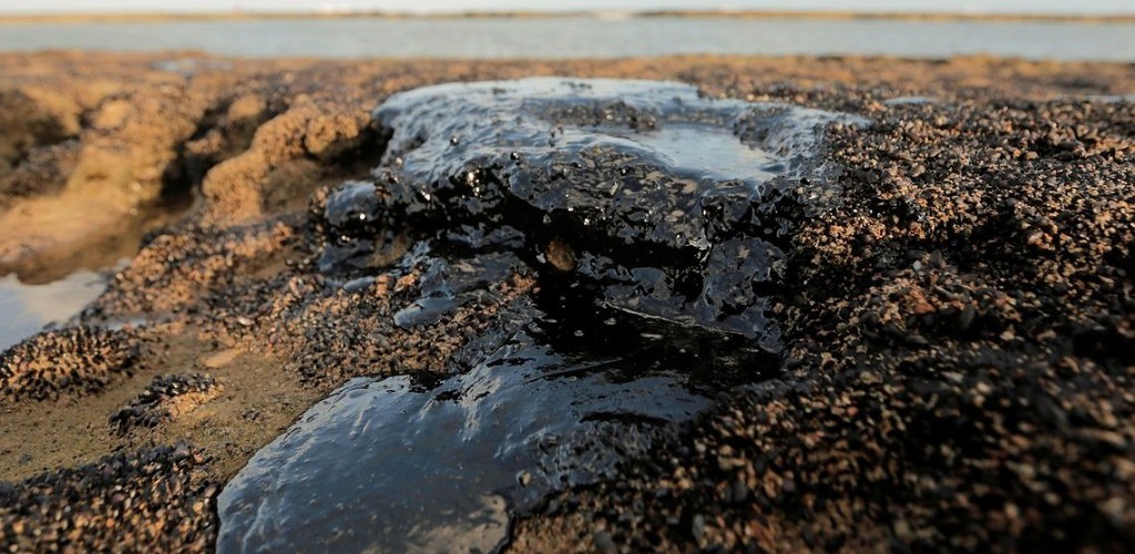 Quatro mil toneladas de óleo já foram retiradas de praias nordestinas