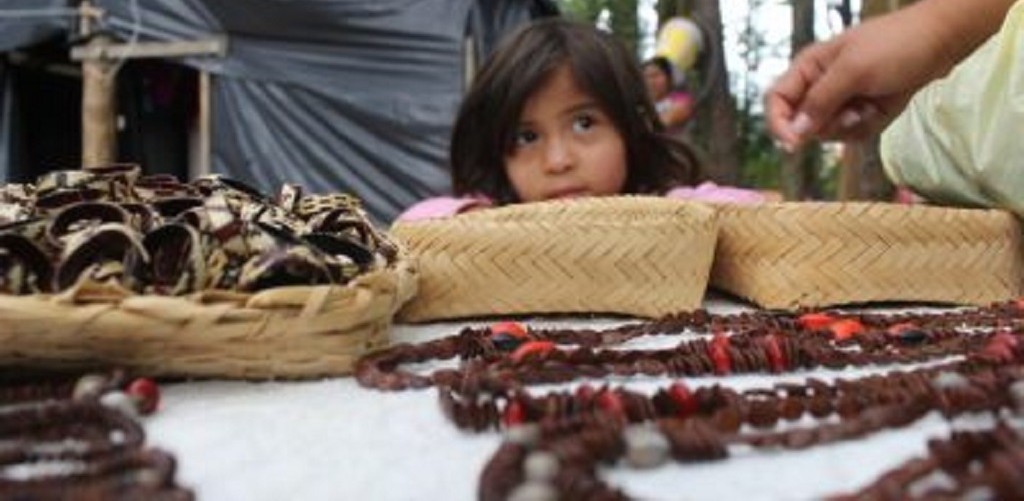 Aprovadas leis  que criam Coordenadoria e Conselho Municipal dos Povos Indígenas
