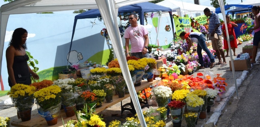 Período de inscrições para comércio de flores para o Dia dos Finados começa na próxima segunda-feira