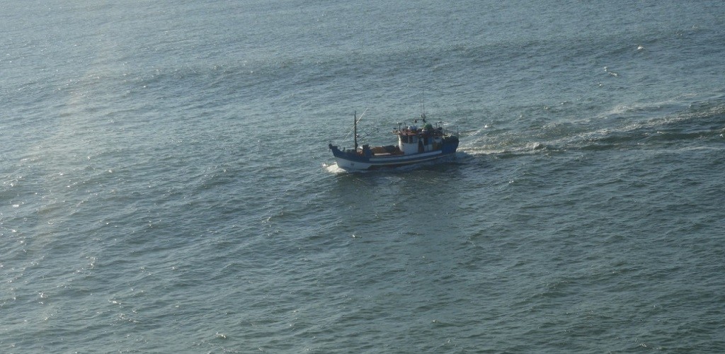 Patram, Ibama e Marinha realizam ação de combate à pesca irregular
