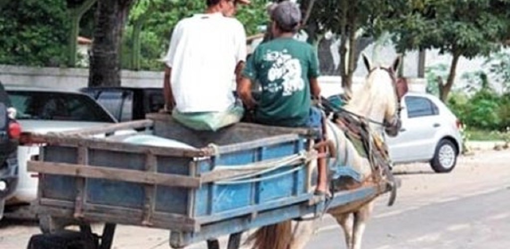 Começa cadastramento social de condutores de veículos de tração animal