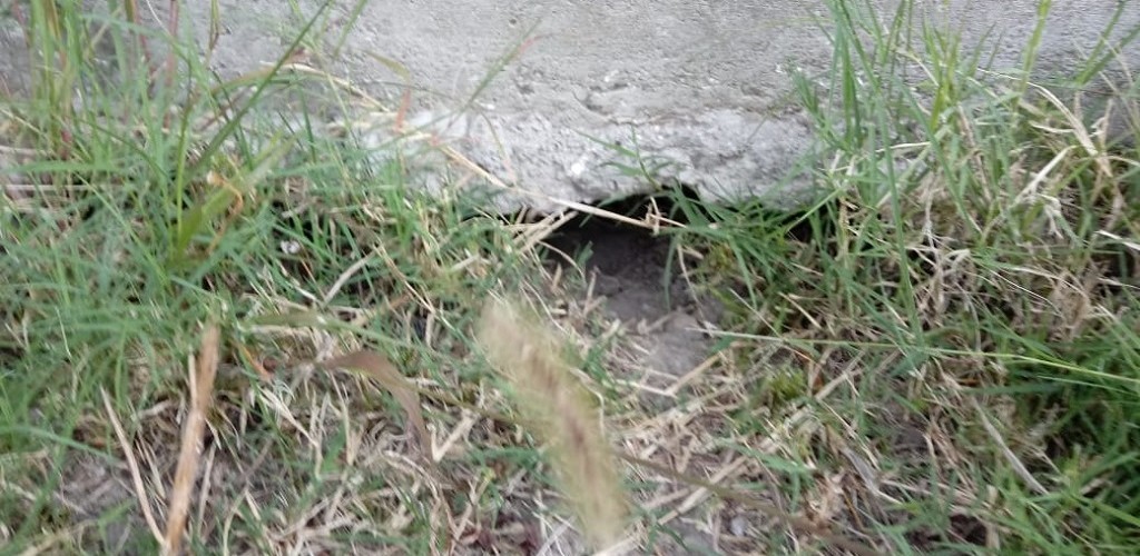  Buraco é descoberto no muro externo do Presídio de Pelotas