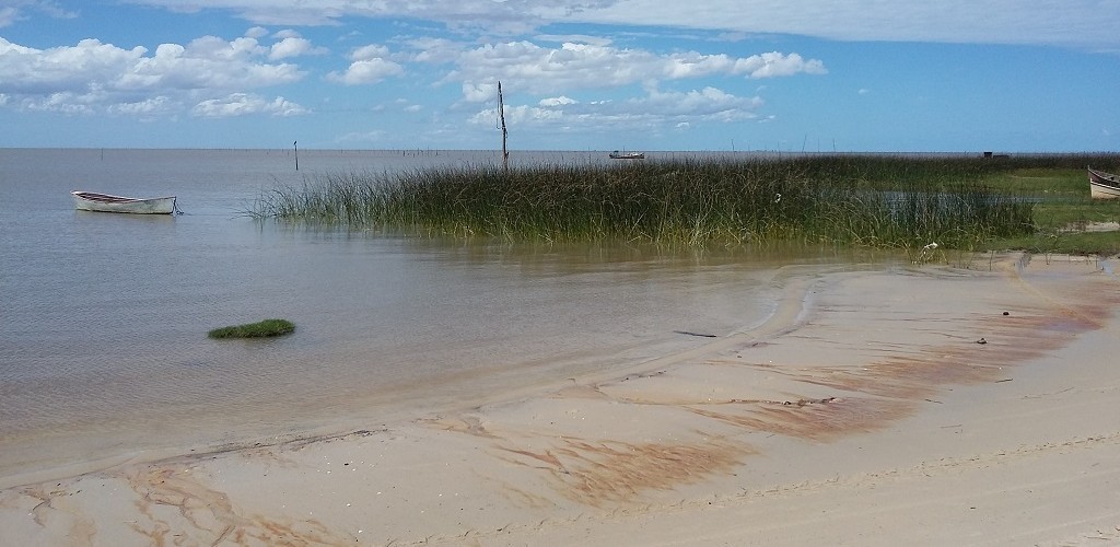 Pesca predatória do camarão vem preocupando a Colônia e pescadores artesanais