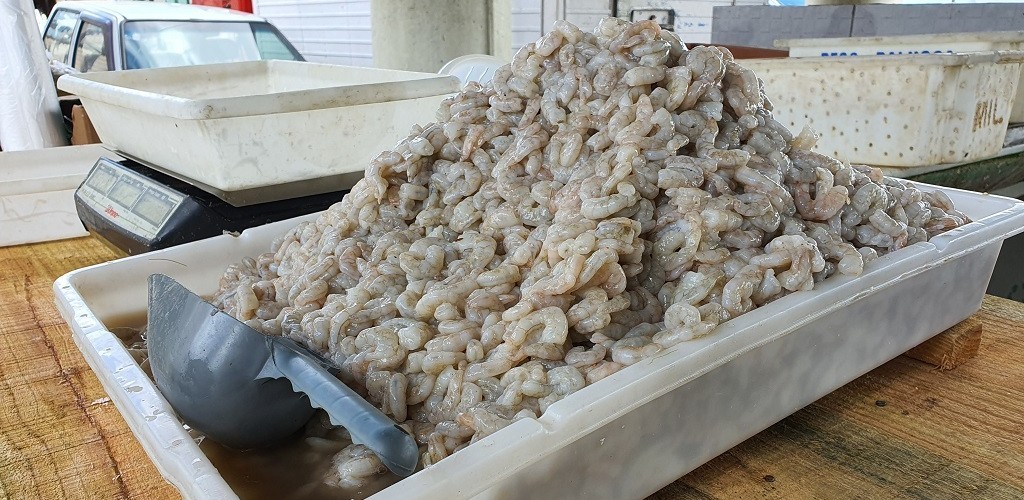 Procura por camarão é intensa na doca do Mercado Público