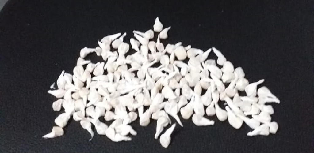 BM apreende menor de idade por tráfico de drogas 