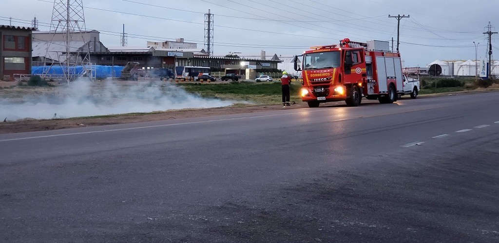 Incêndios em área de vegetação somam 59 casos em menos de 15 dias