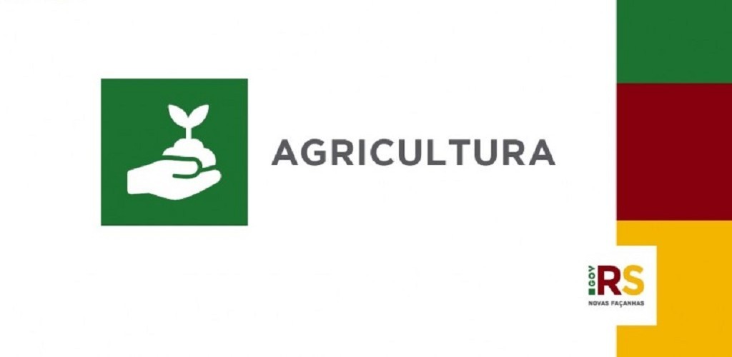 Campanha antecipada de vacinação contra febre aftosa começa na segunda-feira