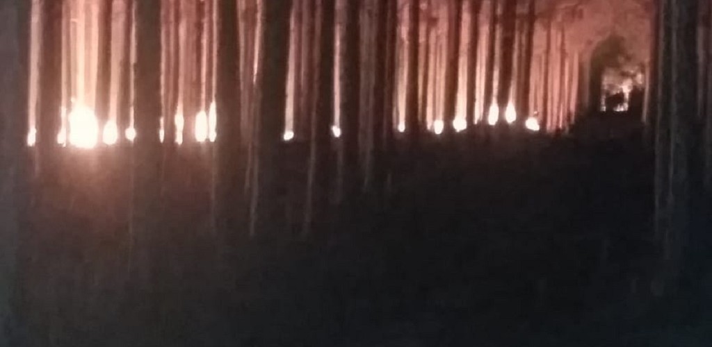 Incêndio em vegetação de SJN é controlado durante a madrugada